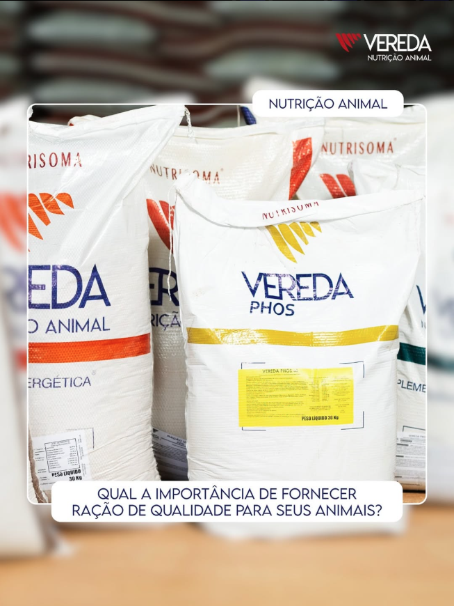Notícia 2